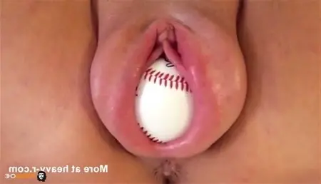 Beyzbol topu kedi